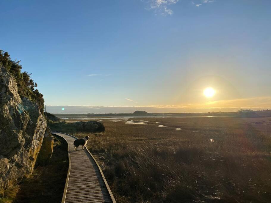 Entire Guest Suite In Four Mile Bridge, Rhoscolyn Valley Extérieur photo